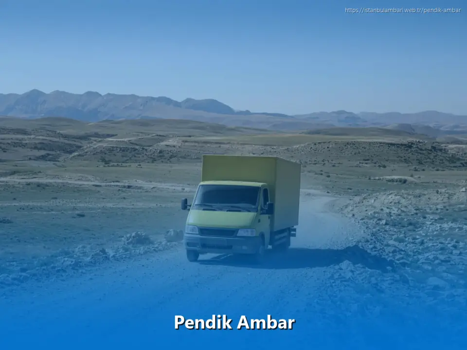 Pendik Ambar
